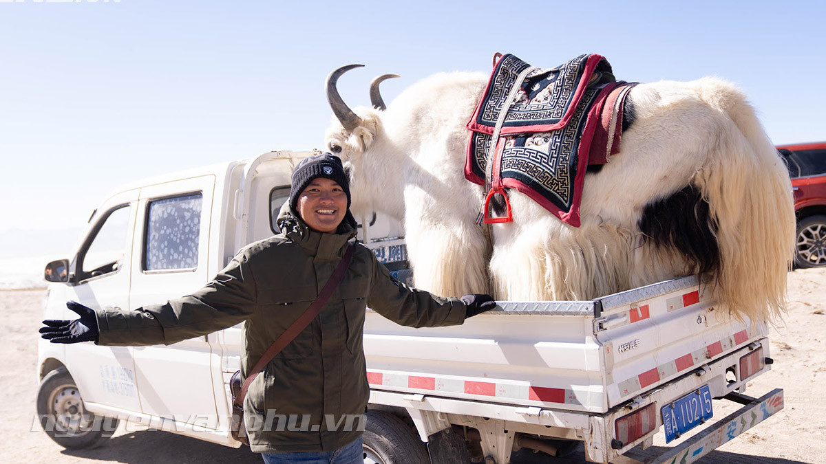 NGUYỄN VĂN PHÚ CHUYÊN GIA BẤT ĐỘNG SẢN THỰC CHIẾN LONG THÀNH