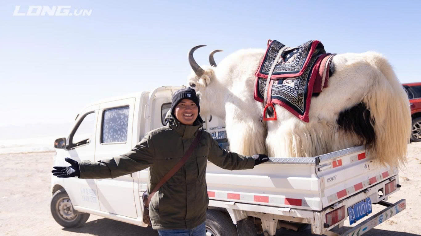TÍCH LŨY TÀI CHÍNH – NỀN MÓNG BỀN VỮNG CHO ĐẦU TƯ BẤT ĐỘNG SẢN VÀ TĂNG TRƯỞNG TÀI SẢN DÀI HẠN